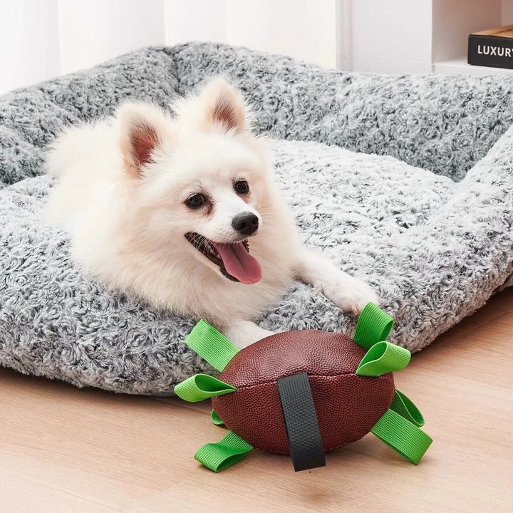 Interactive Football for Dogs