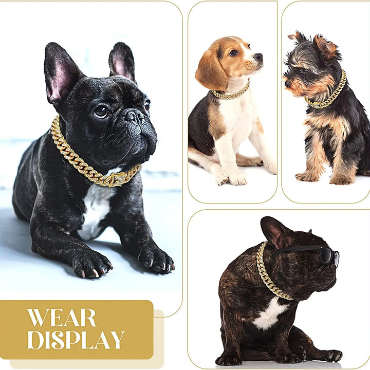 Luxury Gold Dog Chain Collar