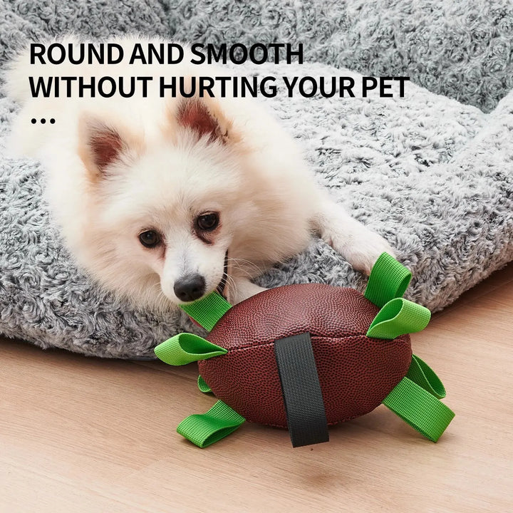 Interactive Football for Dogs